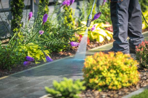 Best Patio and Deck Pressure Washing  in Hoosick Falls, NY